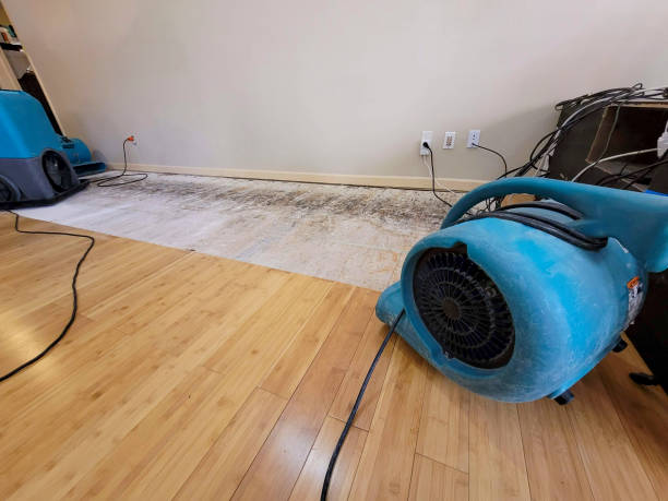 Professional Water Damage Repair technician working in Middle Island, NY